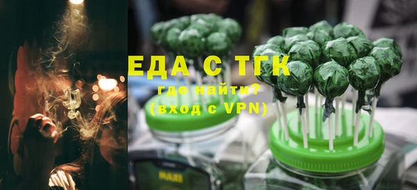 тгк Дмитриев