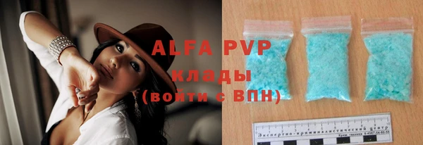 тгк Дмитриев