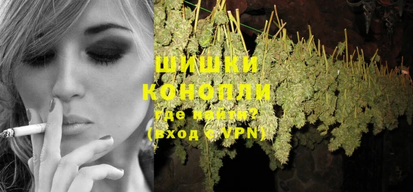 тгк Дмитриев