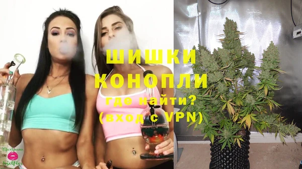 тгк Дмитриев
