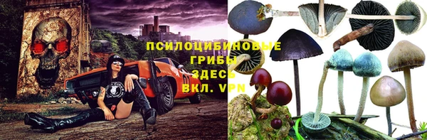 мяу мяу мука Дмитровск