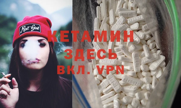 тгк Дмитриев