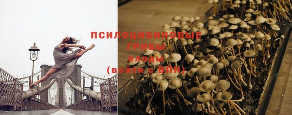 мяу мяу мука Дмитровск