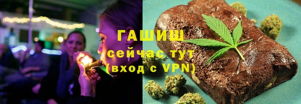 тгк Дмитриев