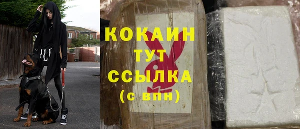 тгк Дмитриев